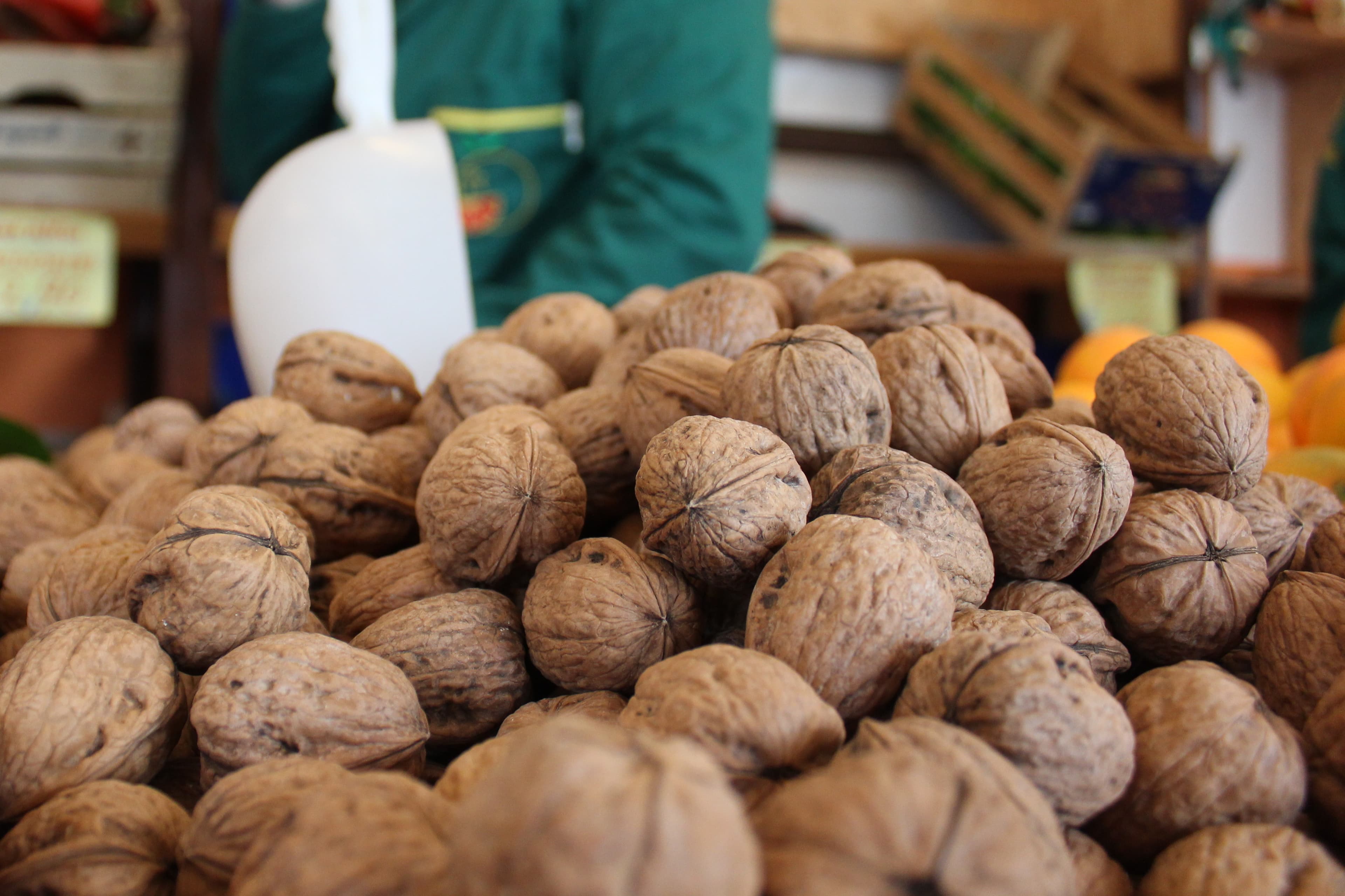 Verdura fresca di stagione